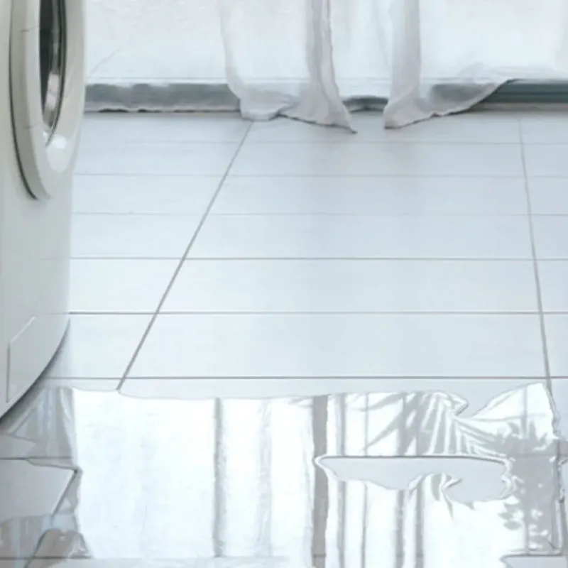 Appliance Leak Cleanup in Saint George, FL