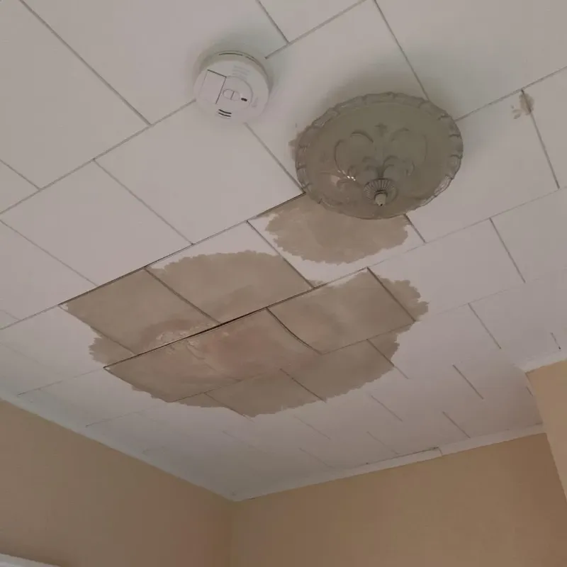 Ceiling Water Damage Repair in Saint George, FL
