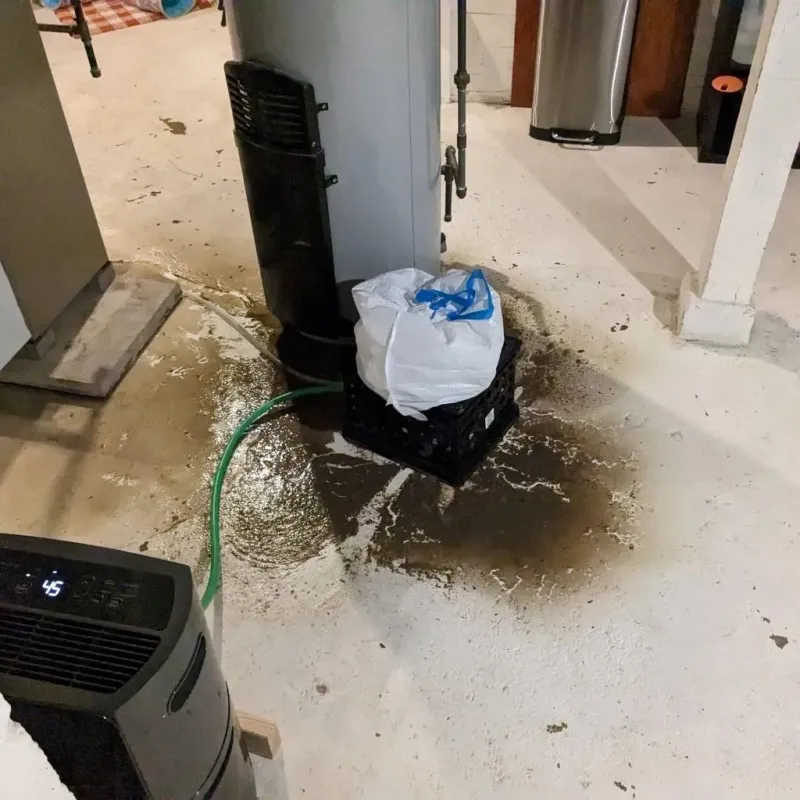 Sewage Backup Cleanup Service in Saint George, FL